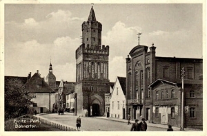Pyrzyce - Reprodukcja 18925
