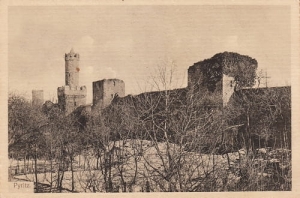 Pyrzyce - Reprodukcja 18933