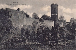 Pyrzyce - Reprodukcja 18962
