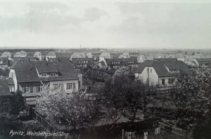 Pyrzyce panorama - Reprodukcja 18970