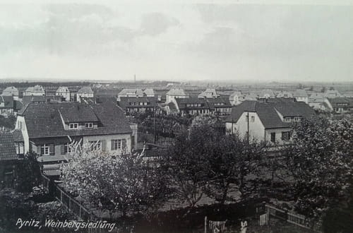 nowe-18970.jpg
