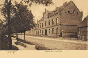 Pyrzyce szkoła - Reprodukcja 18983