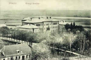 Pyrzyce - Reprodukcja 18999