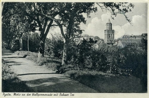 nowe-19027.jpg