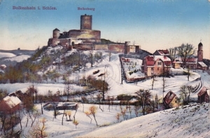 Bolków panorama Zamek - Reprodukcja 19052