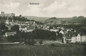 Bolków panorama - Reprodukcja 19057