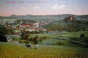 Bolków panorama - Reprodukcja 19061