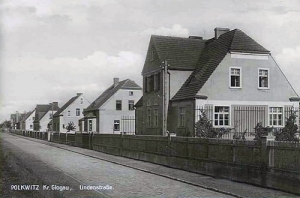 Polkowice Lindenstr. - Reprodukcja 19094