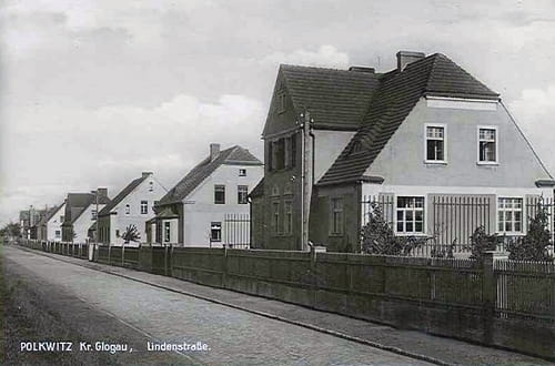 nowe-19094.jpg