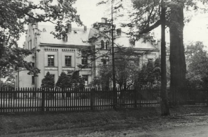 Pszczyna Szpital - Reprodukcja 15461
