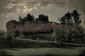 Lwów Ruiny zamku - Reprodukcja 2832