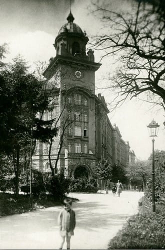 nowe-2972.jpg