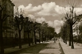 nowe-2987.jpg