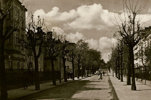 nowe-2987.jpg