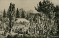 nowe-3013.jpg