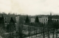 nowe-3043.jpg