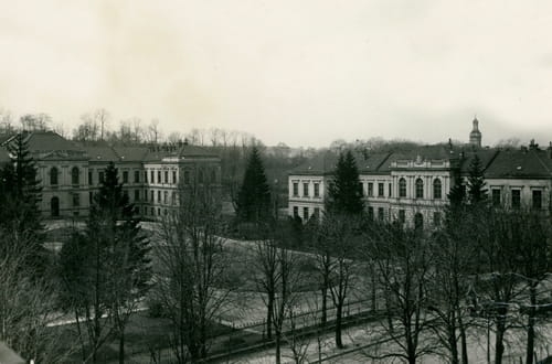 nowe-3043.jpg
