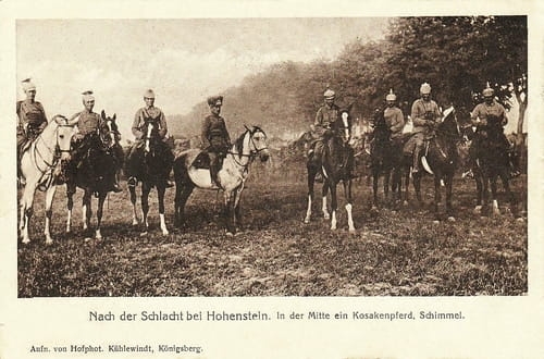 nowe-19105.jpg