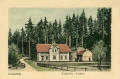 nowe-19195.jpg