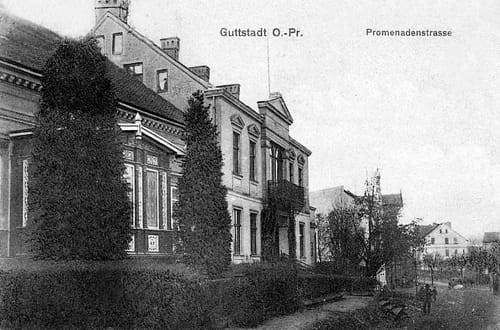 nowe-19199.jpg