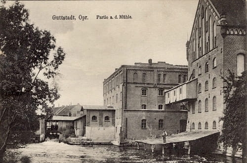 nowe-19201.jpg