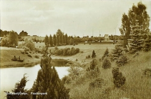 Dobre Miasto park - Reprodukcja 19203