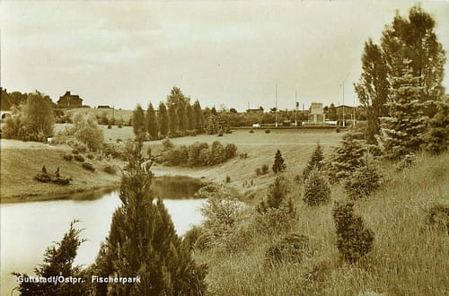 nowe-19203.jpg