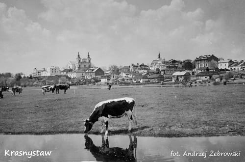 nowe-19249.jpg