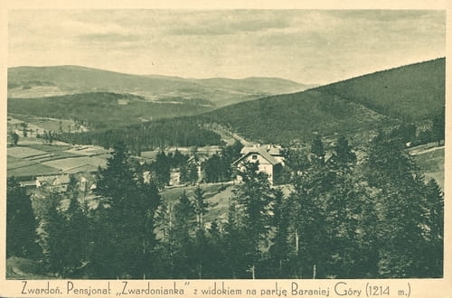 nowe-19254.jpg