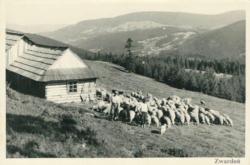 nowe-19255.jpg