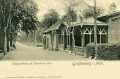 nowe-19293.jpg