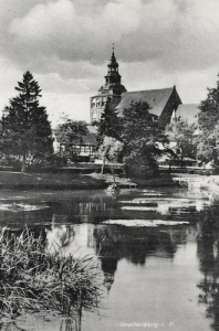 Gryfice - Reprodukcja 19307