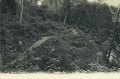 nowe-19329.jpg