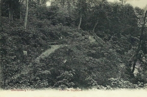 Gryfice - Reprodukcja 19329