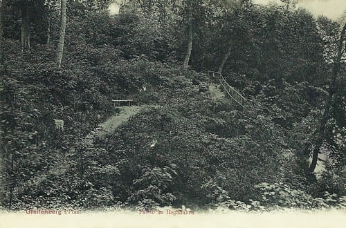 nowe-19329.jpg