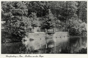 Gryfice - Reprodukcja 19351