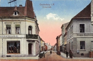 Gryfice - Reprodukcja 19358