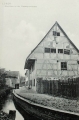 nowe-16173.jpg