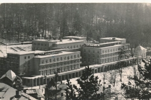 Krynica  01959