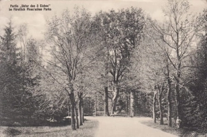 Pszczyna park - Reprodukcja 15502