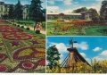 nowe-IMG_0014_NEW.jpg