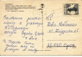 nowe-IMG_0041_NEW.jpg