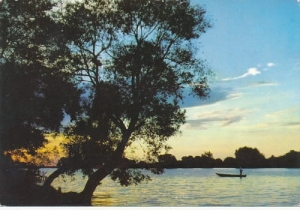 Jezioro Dziekanowskie - 07690