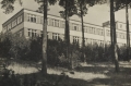 nowe-19476.jpg
