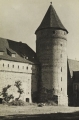 nowe-19478.jpg