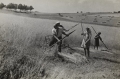 nowe-19481.jpg