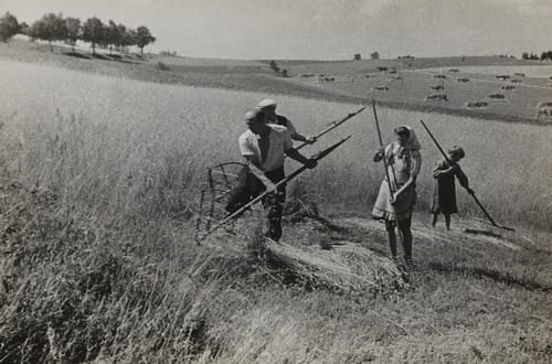 nowe-19481.jpg