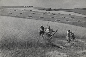 Rekowo żniwa - Reprodukcja 19482