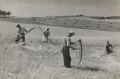 nowe-19483.jpg
