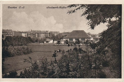 nowe-19512.jpg